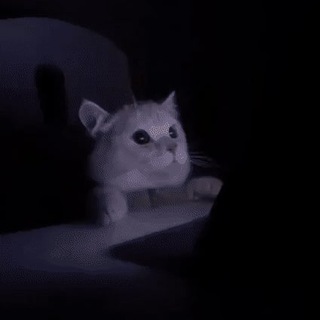 Логотип телеграм канала @kotekiblyat — Котик блять