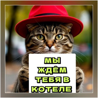 Telegram channel КОТЕЛЬ СМОЛЕНСК ❤️🐈 logo