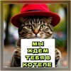Логотип телеграм канала @kotel_smolensk — КОТЕЛЬ СМОЛЕНСК ❤️🐈