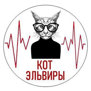 Логотип телеграм канала @kotelviry — Кот Эльвиры