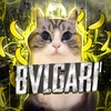 Логотип телеграм канала @kotenokpraki — ПРАКИ ОТ BVLGARI ¹