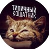 Логотип телеграм канала @koteyka_kotya — Типичный кошатник