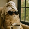 Логотип телеграм канала @koteykadom — Котейкин Дом