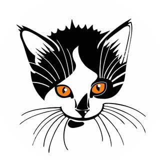 Логотип телеграм канала @koteykarorshah — Профориентация и карьера с котейкой