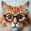 Логотип телеграм канала @kotfacts — Кот знает