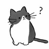 Логотип телеграм канала @kotik_iko — Котик и компания