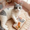 Telegram channel Котик вяжет /Вязание, книги, эстетика logo
