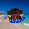 Логотип телеграм канала @kotikanikuls_chenall — ✨kotokanikuls💥