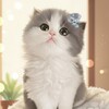 Telegram channel микрочелы logo