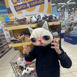 Логотип телеграм канала @kotiki03 — лора кринг