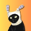 Логотип телеграм канала @kotiki_mem — Котики-МЕМотики