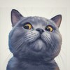 Логотип телеграм канала @kotikiandco — Котики & Co - пушистый позитив 😺🐾