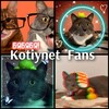 Логотип телеграм канала @kotiynetfansgroup — Kotiynet Fans❤️