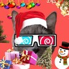 Логотип телеграм канала @kotiynetschool1 — 🎄kotiynet🎄