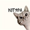 Логотип телеграм канала @kotkitkotkitkot — КОТЯРА😸