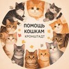 Логотип телеграм канала @kotkronshtadt — ВОЛОНТЁРСКОЕ ДВИЖЕНИЕ КОШКИ Кронштадт