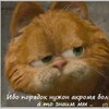 Логотип телеграм канала @kotmotya888 — Кот Мотя