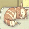 Логотип телеграм канала @koto_56miwi — ! АРХИВ ! Дуршлачок_KoTo.Val