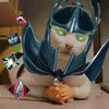 Telegram channel Котики и Дота 2 logo