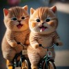 Логотип телеграм канала @kotofeich5 — Котофеич 🐱