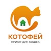 Логотип телеграм канала @kotofeisochi — Приют для бездомных кошек «Котофей»