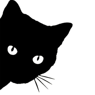 Логотип телеграм канала @kotofey_tgg — Котофей