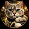 Логотип телеграм канала @kotoffside — Кот вне офсайда | Футбол