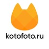 Логотип телеграм канала @kotofoto — Kotofoto 🔸 Котофото 🔸 добрый магазин