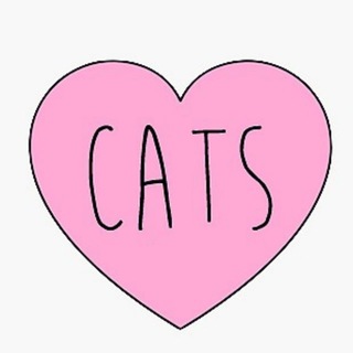 Логотип телеграм канала @kotomanechka — Коты Котики Котята