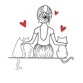 Логотип телеграм канала @kotonline — KotOnline