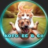 Логотип телеграм канала @kotopesico — КОТОПЁС & Сo