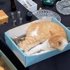 Telegram channel ГОРОСКОП і котики 🐾 logo