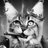 Логотип телеграм канала @kotovasinki — Котомафия | Все о котах и кошках | Блог Дона Тайсона