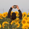 Логотип телеграм канала @kotovich_photo — Сам себе фотограф