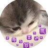 Логотип телеграм канала @kotoznak — Все котознаки