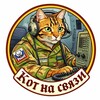 Логотип телеграм канала @kotsvzst — Кот на связи.