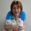 Логотип телеграм канала @kotved — 😸 КотоВедение🐈