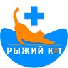 Логотип телеграм канала @kotvet18ru — Рыжий Кот, сеть ветеринарных клиник