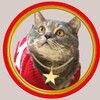 Логотип телеграм канала @kotvvalenkah_m — Кот в валенках