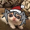Логотип телеграм канала @kotyalohhhh — kotya(lohhh)