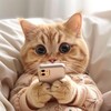 Логотип телеграм канала @kotyara25 — Котики