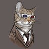 Логотип телеграм канала @kotyarayumor — Котяра😼