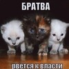 Логотип телеграм канала @kotyatanapanikke — KotbI panikki