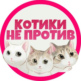 Логотип телеграм канала @kotyeka — Котики не против