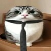 Telegram channel Котятник Флопы logo
