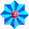 Логотип телеграм канала @kovchegnovogomira — ЗВЕЗДА МИРОЗДАТЕЛЯ