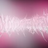 Telgraf kanalının logosu kowenesik — Kowenes