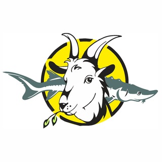 Логотип телеграм канала @kozaisterlyad63 — Коза и Стерлядь