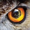 Логотип телеграм канала @kpobede — ОД Шаги к Победе