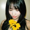 Логотип телеграм канала @kpopvikii — ᴋ-ᴩᴏᴩ #viᴋii🌼